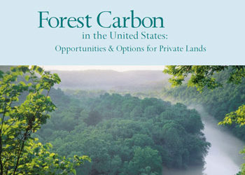 Forest Carbon in the United States: Opportunities and Options for Private Lands