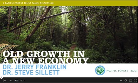 Video: Dr. Jerry Franklin and Dr. Steve Sillett Discuss Old Growth in a New Economy