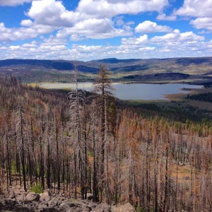 Goose Lake WFCE