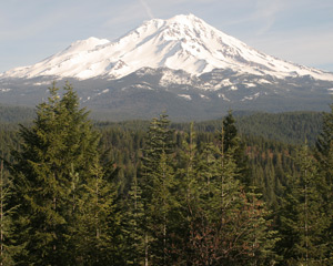 Conservation Partnership Expands Protection of Key Source Watershed for California