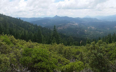 Innovative Conservation Partnership Gains Federal Funds to  Protect Threatened Species and Excellent Forestry on Siskiyou Crest