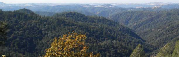 Sierra Nevada, Campstool Ranch, Calaveras County, Calif.