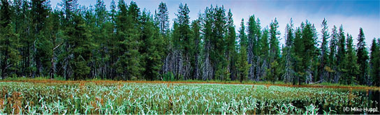 White Deer Lake (Mike Hupp)
