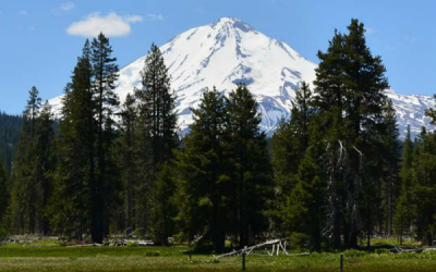 Historic Ranch Conserved to Protect Water Sources and a Family’s Heritage