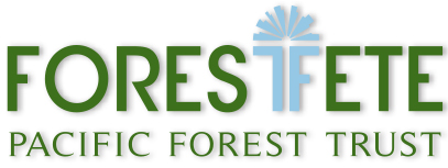 Forest-Fete-Logo-2016