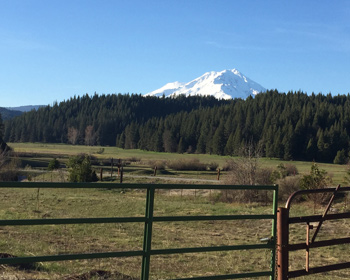 Shasta-Area Conservation Expands