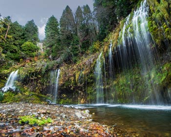 Promoting Water Security, Naturally