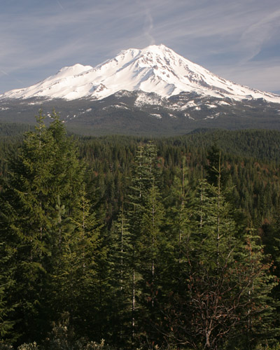 McCloud-Dogwood-Butte-conservation