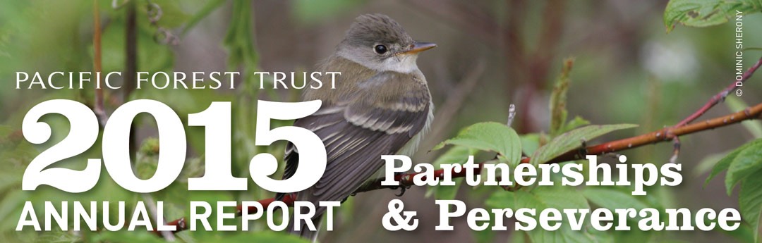 Annual_Report_2015_Pacific_Forest_Trust