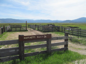 Martinetti-Ranch_PFT_Corral