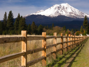 Mount-Shasta-Ownerships