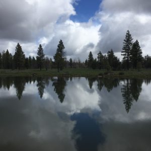 Goose Lake Forest Reflection