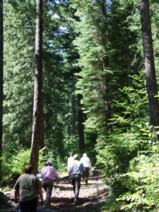 People walking in Bear Creek Conservation Easement