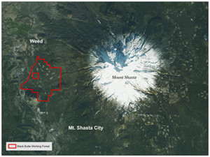 Black Butte Working Forest provides key connection in Shasta area.