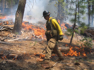 A prescribed fire in Lassen