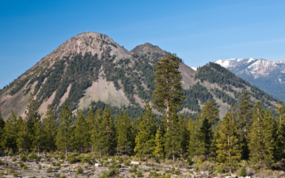 CAL FIRE and Pacific Forest Trust Announce Major Forest Health Project in Siskiyou County