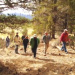 People hiking through a forest