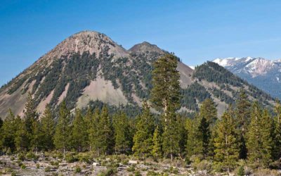 Black Butte Working Forest Conserved