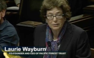 Joint Informational Hearing: Wildfire Impacts on Watershed Lands