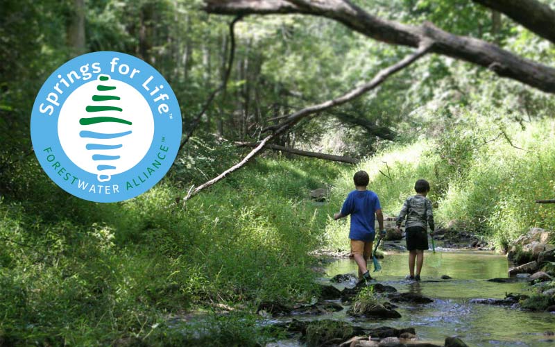 Pacific Forest Trust announces Springs for Life™ – ForestWater Alliance™ initiative