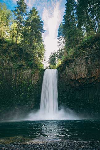 Forest Flash: Water resiliency, climate investments, and forest stewardship