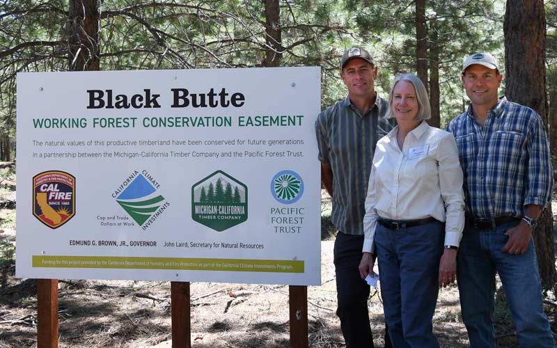 Black Butte: Investing in forests for a healthy climate