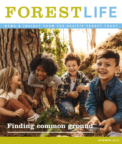 Read ForestLife as a PDF ForestLife Summer 2019 cover image