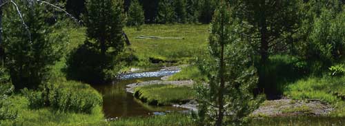 image of stream in forest meadow