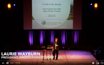 Science on Tap with Laurie Wayburn: Forests and Climate