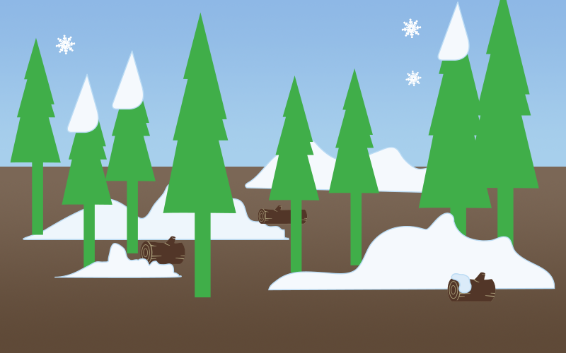 Illustration of healthy forest cover