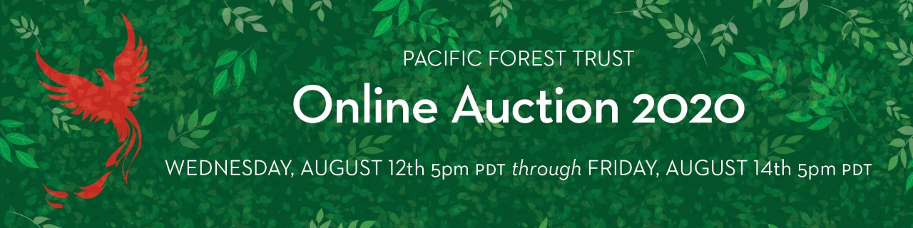 thumbnail_pft auction 2020 email banner_2000x500 Forest Fete: April 30, 2020