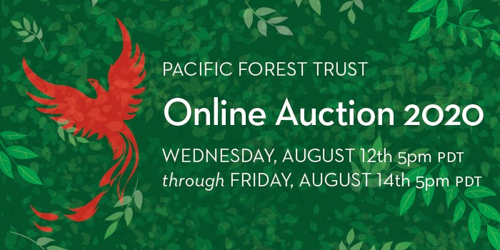 thumbnail_pft auction 2020 email banner_700x350 Forest Fete: April 30, 2020