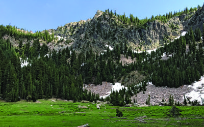 Forest Flash: Schoolkids Take the Lead; Oregon Forest Focus; Major New Headwaters Project