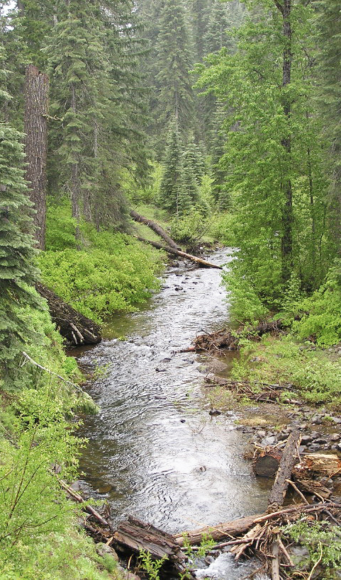 Riparian Corridor.crop