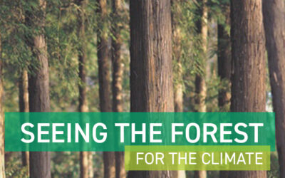 Seeing the Forest: For the Climate