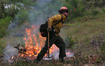Restoring Fire and Climate Resilience