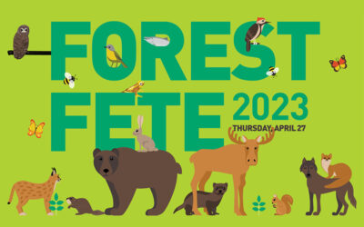Celebrating 30 Years and Forest Wildlife