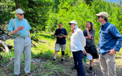 Managing for Climate Resilience on Mount Ashland Demonstration Forest