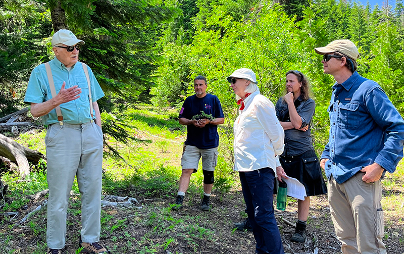 Managing for Climate Resilience on Mount Ashland Demonstration Forest