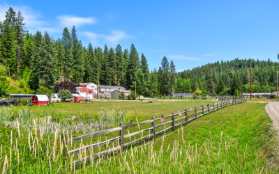 Harnessing the Power of Nature to Address Climate Change