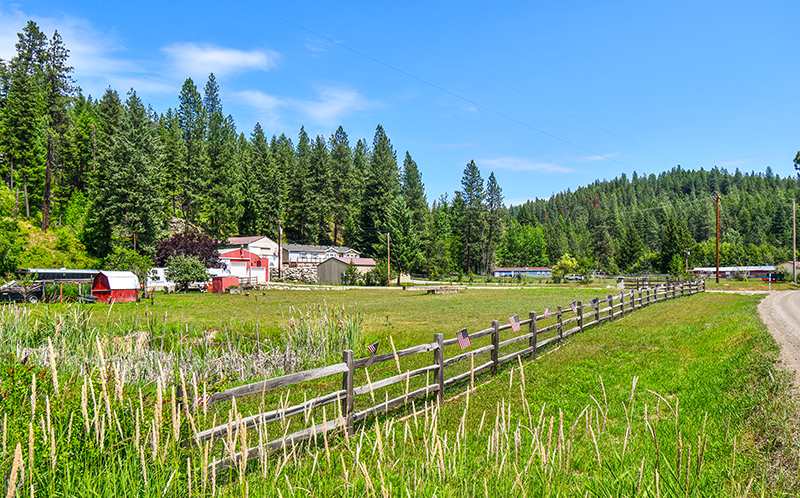 Harnessing the Power of Nature to Address Climate Change