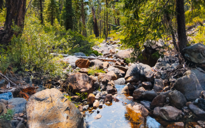 Saving the Source: Conserving 11,000 acres of the Trinity River Headwaters