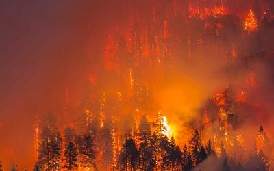 Demonstrating a New Relationship with Fire to Benefit Forest Ecosystems  and Communities