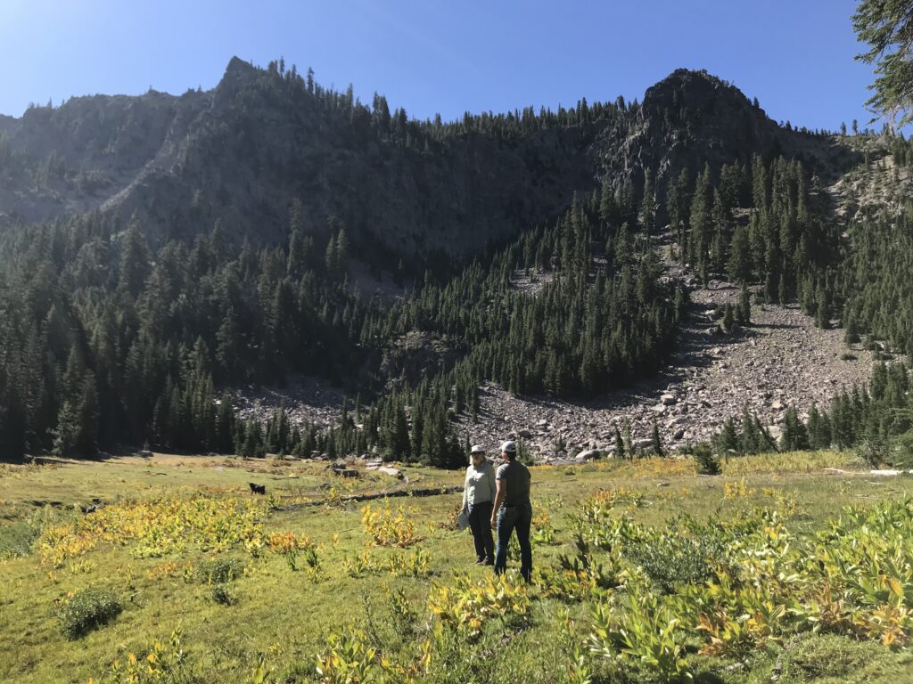 Table Rock Meadow at Shasta Timberlands