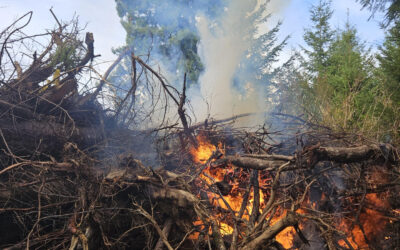 Restoring Natural Fire Regimes for a Safer Future: PFT’s Fire Management