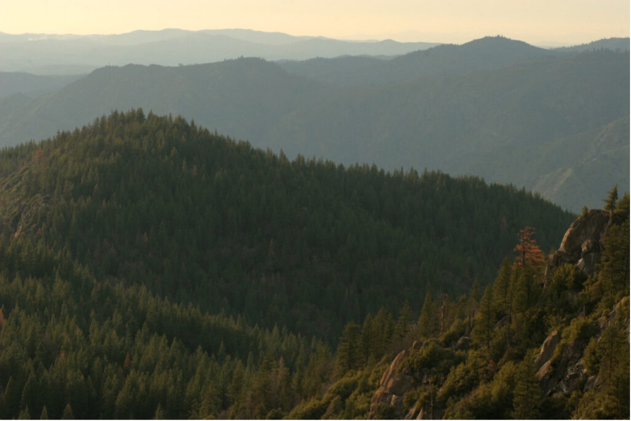 Yosemite ridge