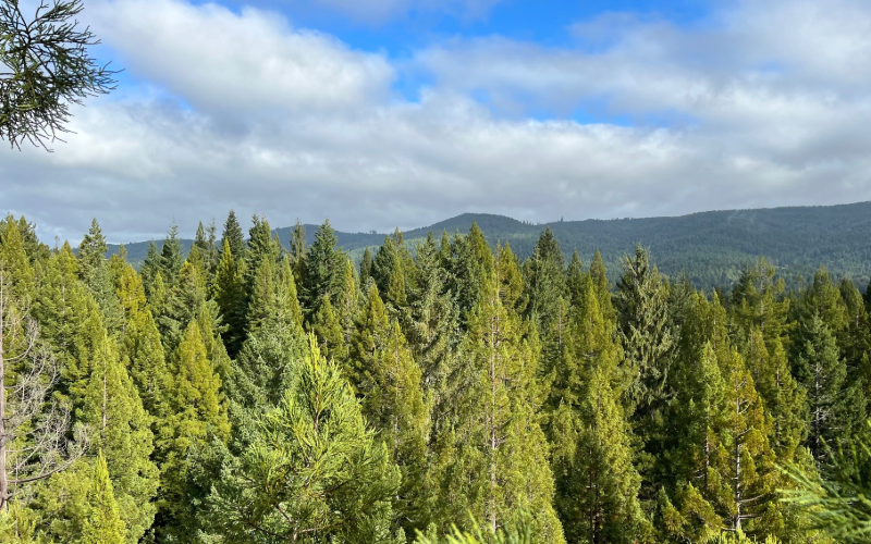 VEO PANORAMA