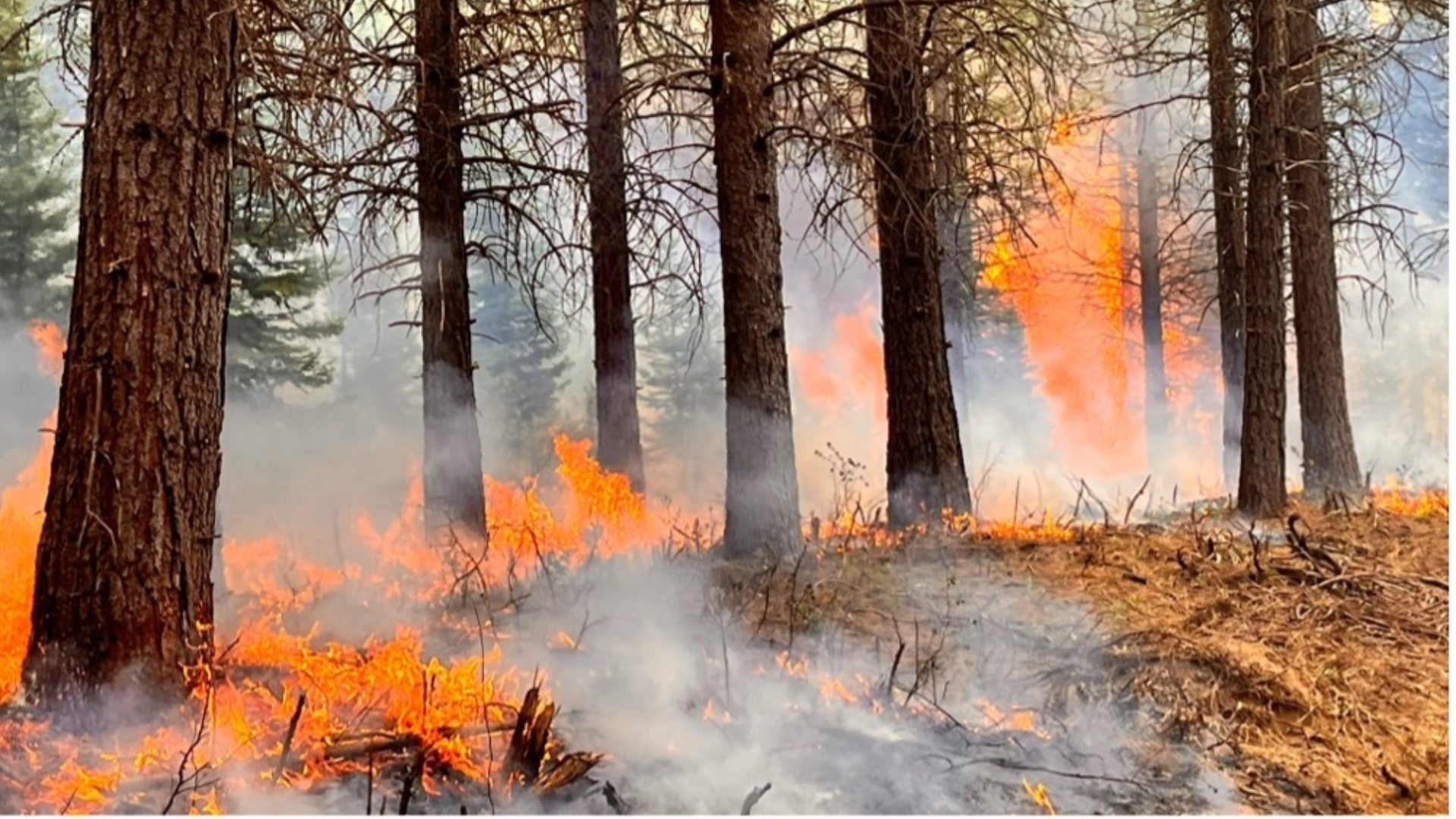 Website Featured Images-6-MSS BURN
