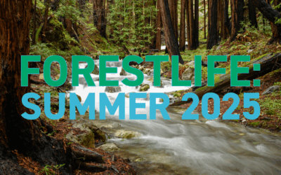 President’s Letter: Betting Against Nature or Betting on Nature?