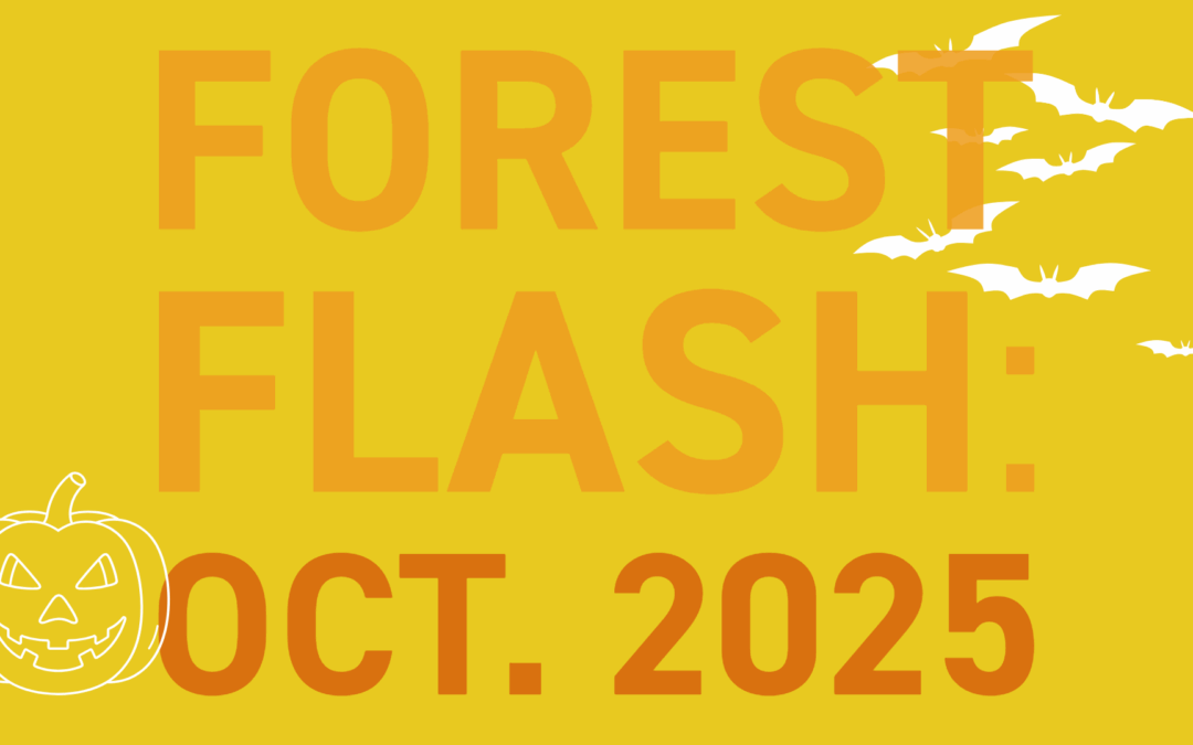 Forest Flash: October 2025